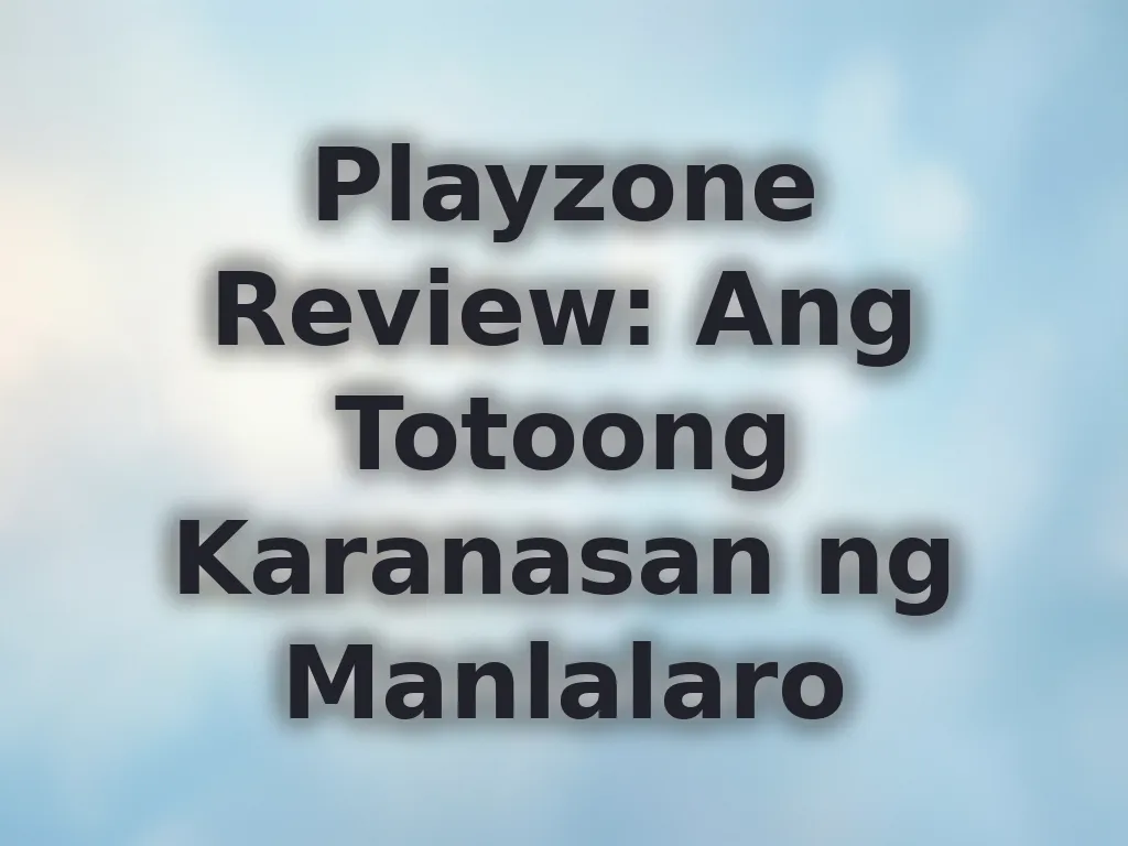 Playzone Review